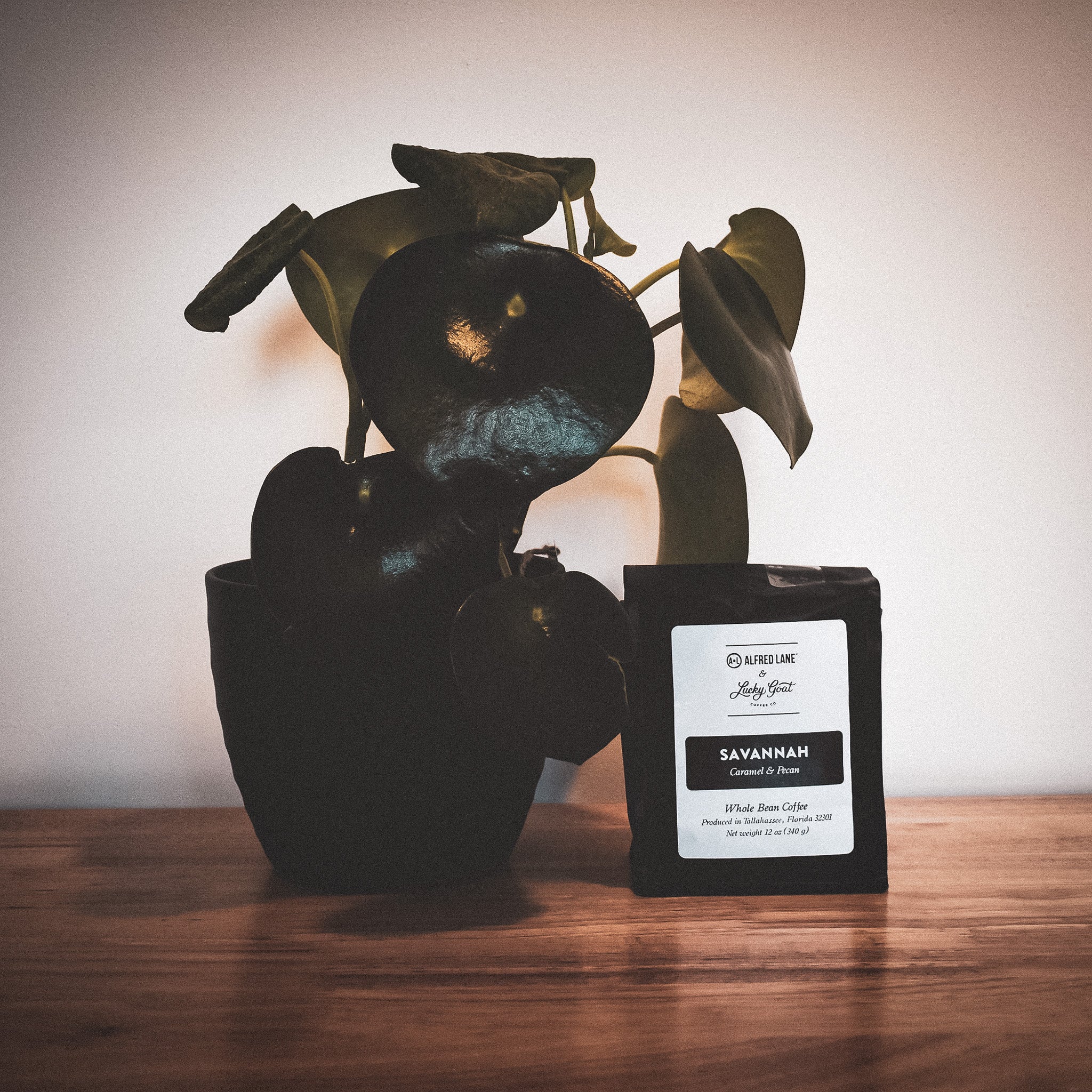 Alfred Lane x Lucky Goat Whole Bean Coffee - Savannah