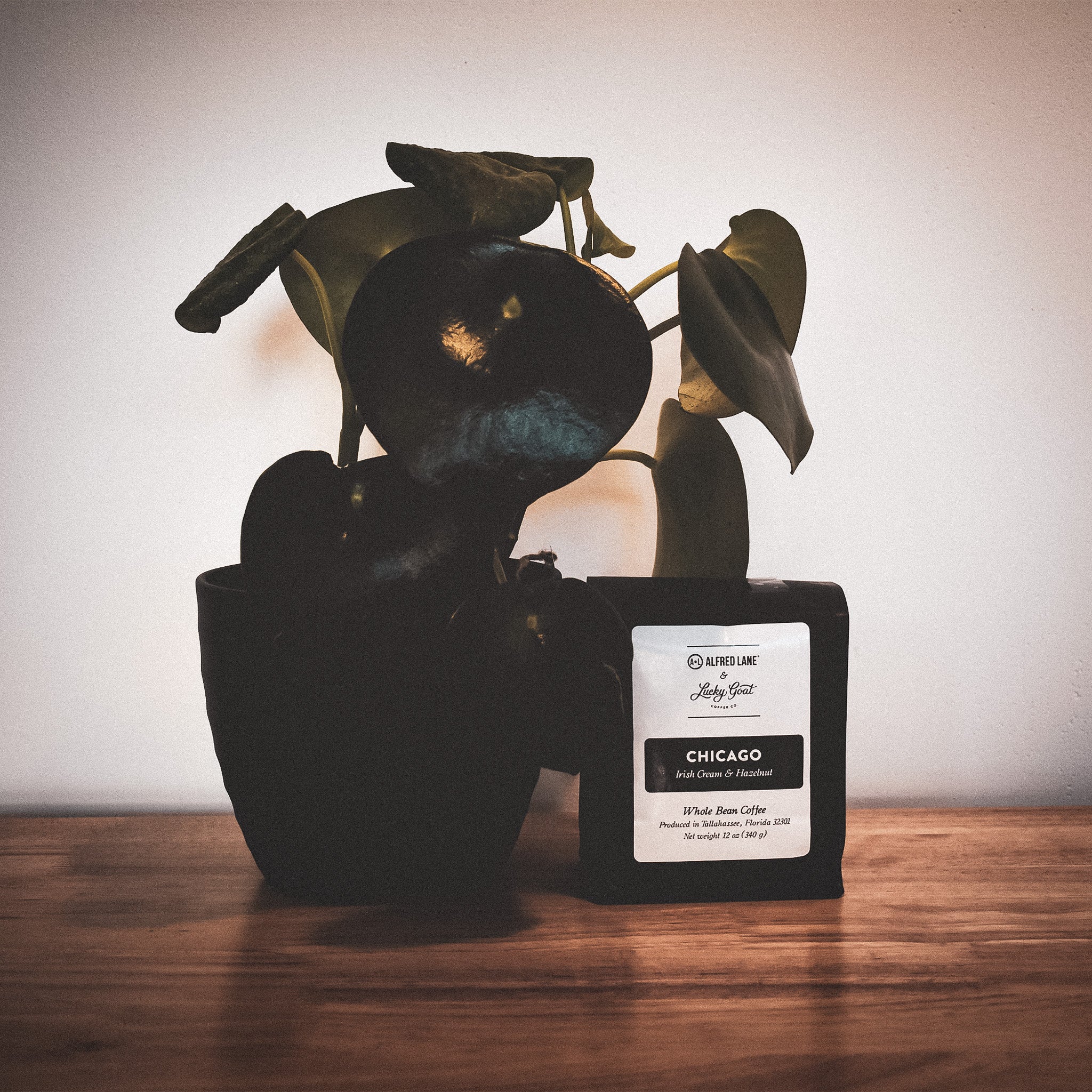 Alfred Lane x Lucky Goat Whole Bean Coffee - Chicago